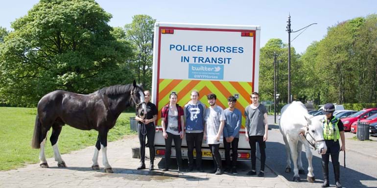 Horse in Transit Band 4